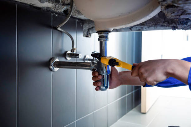 Best Garbage Disposal Repair and Installation  in Halstead, KS